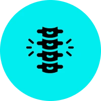 Spine icon on turquoise background
